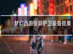 梦幻西游变异护卫装备效果