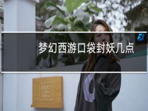 梦幻西游口袋封妖几点