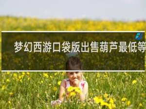梦幻西游口袋版出售葫芦最低等级