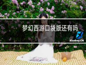 梦幻西游口袋版还有吗