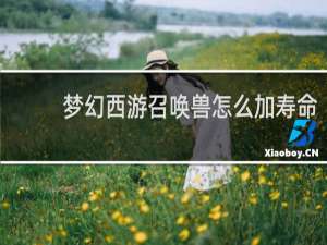 梦幻西游召唤兽怎么加寿命