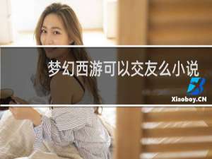 梦幻西游可以交友么小说