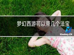 梦幻西游可以带几个法宝