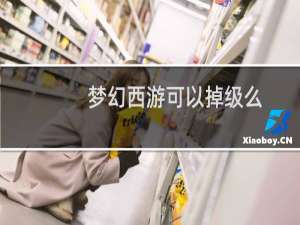 梦幻西游可以掉级么