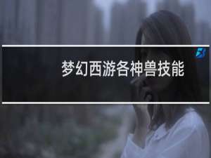 梦幻西游各神兽技能