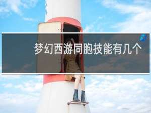 梦幻西游同胞技能有几个