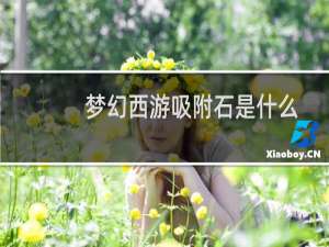梦幻西游吸附石是什么