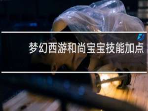 梦幻西游和尚宝宝技能加点