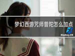 梦幻西游咒师普陀怎么加点