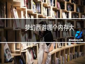 梦幻西游哪个内存大