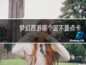 梦幻西游哪个区不要点卡