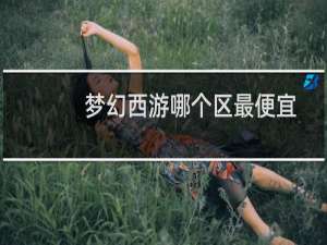 梦幻西游哪个区最便宜