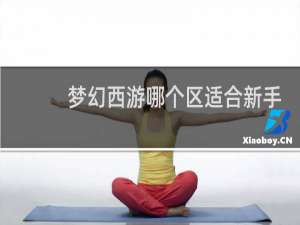 梦幻西游哪个区适合新手