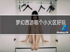 梦幻西游哪个小火区好玩