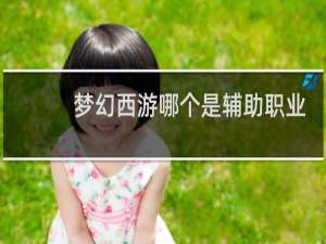 梦幻西游哪个是辅助职业