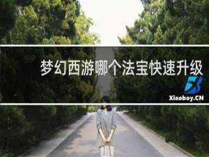 梦幻西游哪个法宝快速升级