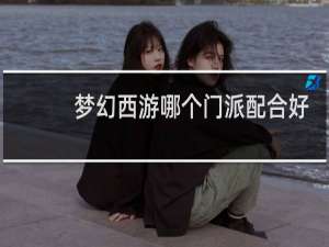 梦幻西游哪个门派配合好