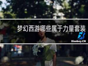 梦幻西游哪些属于力量套装