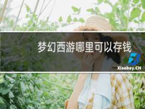 梦幻西游哪里可以存钱