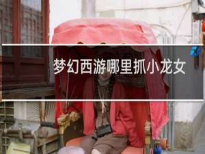 梦幻西游哪里抓小龙女
