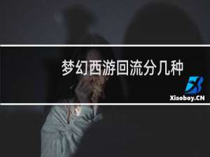 梦幻西游回流分几种