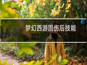 梦幻西游固伤后技能