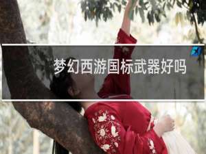 梦幻西游国标武器好吗