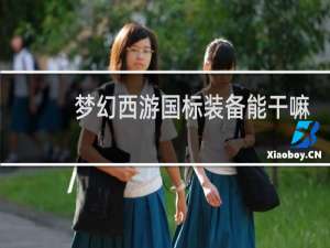 梦幻西游国标装备能干嘛