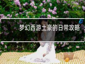 梦幻西游土豪的日常攻略