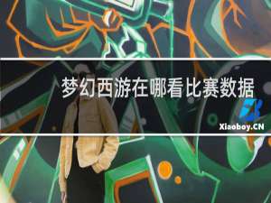 梦幻西游在哪看比赛数据