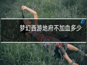 梦幻西游地府不加血多少