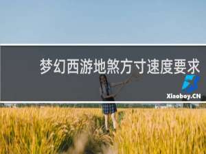 梦幻西游地煞方寸速度要求