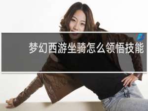 梦幻西游坐骑怎么领悟技能