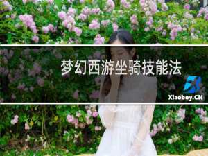 梦幻西游坐骑技能法
