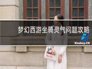 梦幻西游坐骑灵气问题攻略