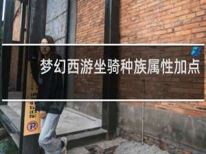 梦幻西游坐骑种族属性加点