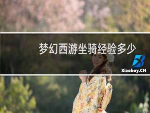 梦幻西游坐骑经验多少