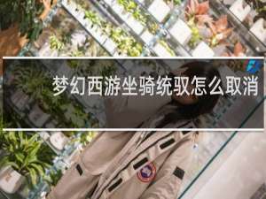 梦幻西游坐骑统驭怎么取消