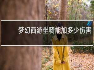 梦幻西游坐骑能加多少伤害