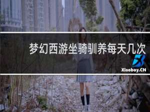 梦幻西游坐骑驯养每天几次