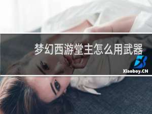 梦幻西游堂主怎么用武器