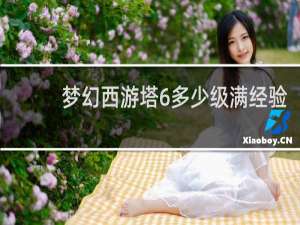 梦幻西游塔6多少级满经验