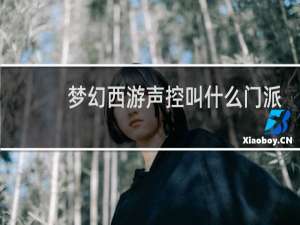 梦幻西游声控叫什么门派
