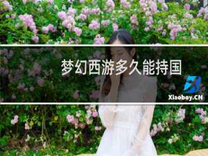 梦幻西游多久能持国