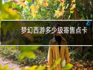 梦幻西游多少级寄售点卡