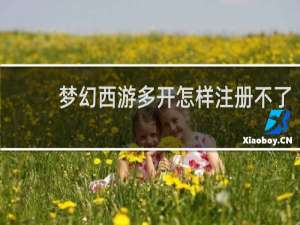 梦幻西游多开怎样注册不了