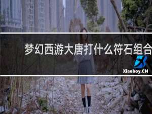 梦幻西游大唐打什么符石组合