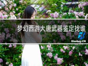 梦幻西游大唐武器鉴定找谁
