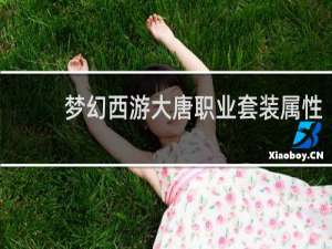 梦幻西游大唐职业套装属性