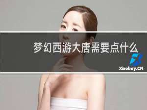 梦幻西游大唐需要点什么